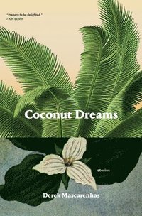 bokomslag Coconut Dreams
