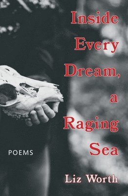 Liz Worth - Inside Every Dream, a Raging Sea, Häftad