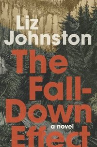 bokomslag The Fall-Down Effect