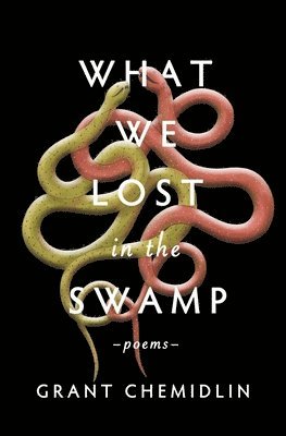 What We Lost in the Swamp 1
