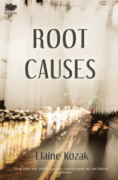 bokomslag Root Causes