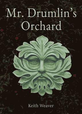Mr. Drumlin's Orchard