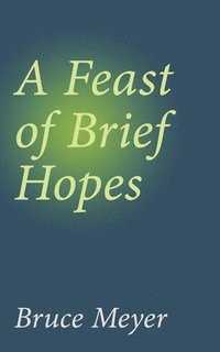 bokomslag A Feast of Brief Hopes