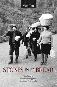 bokomslag Stones into Bread