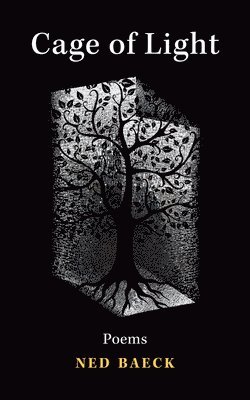 Ned Baeck - Cage of Light, Häftad