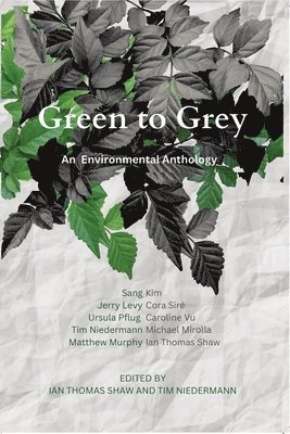bokomslag Green to Grey