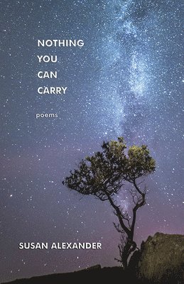 Susan Alexander - Nothing You Can Carry, Häftad