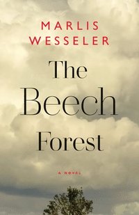 bokomslag The Beech Forest