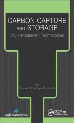 bokomslag Carbon Capture and Storage