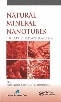 Natural Mineral Nanotubes 1