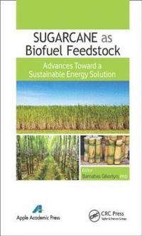 bokomslag Sugarcane as Biofuel Feedstock