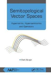 bokomslag Semitopological Vector Spaces