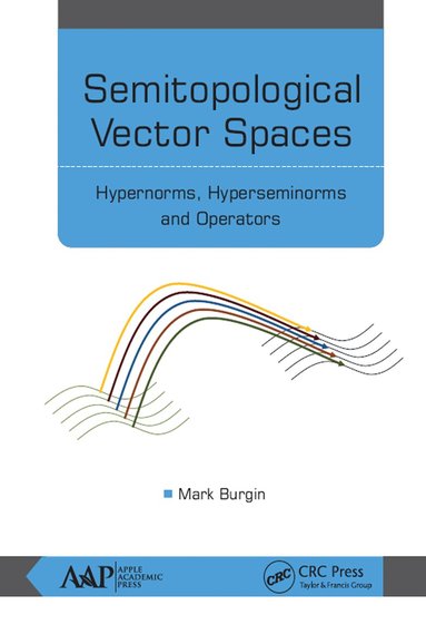 Mark Burgin - Semitopological Vector Spaces, Inbunden