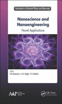 bokomslag Nanoscience and Nanoengineering