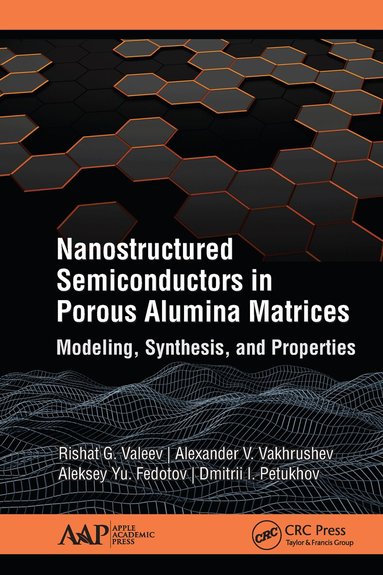 Rishat G. Valeev, Alexander V. Vakhrushev, Aleksey Yu. Fedotov, Dmitrii I. Petukhov - Nanostructured Semiconductors in Porous Alumina Matrices, Inbunden