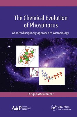 bokomslag The Chemical Evolution of Phosphorus