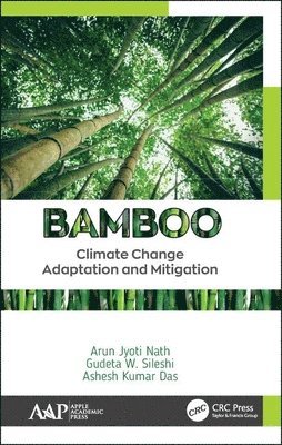 Bamboo 1