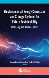 bokomslag Electrochemical Energy Conversion and Storage Systems for Future Sustainability