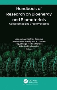 bokomslag Handbook of Research on Bioenergy and Biomaterials