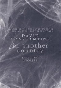 bokomslag In Another Country: Selected Stories