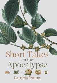 bokomslag Short Takes on the Apocalypse