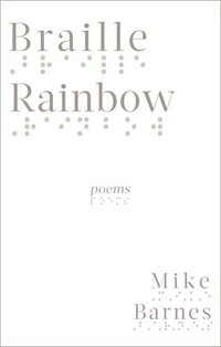 bokomslag Braille Rainbow