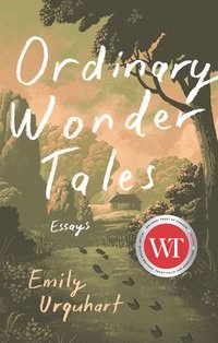bokomslag Ordinary Wonder Tales