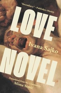 bokomslag Love Novel