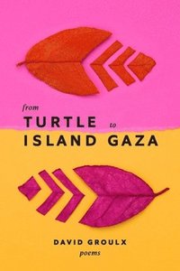 bokomslag From Turtle Island to Gaza