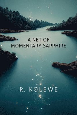 bokomslag A Net of Momentary Sapphire