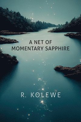 bokomslag Net Of Momentary Sapphire