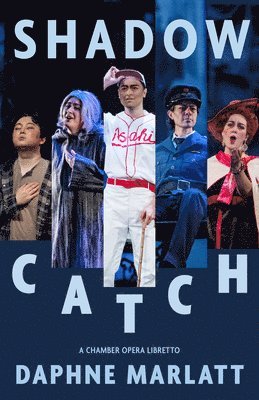 Shadow Catch