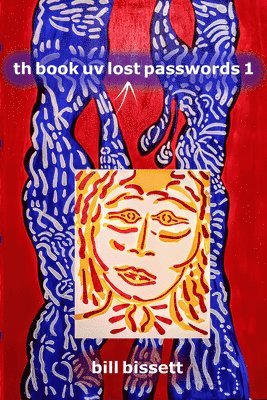 bokomslag th book uv lost passwords1