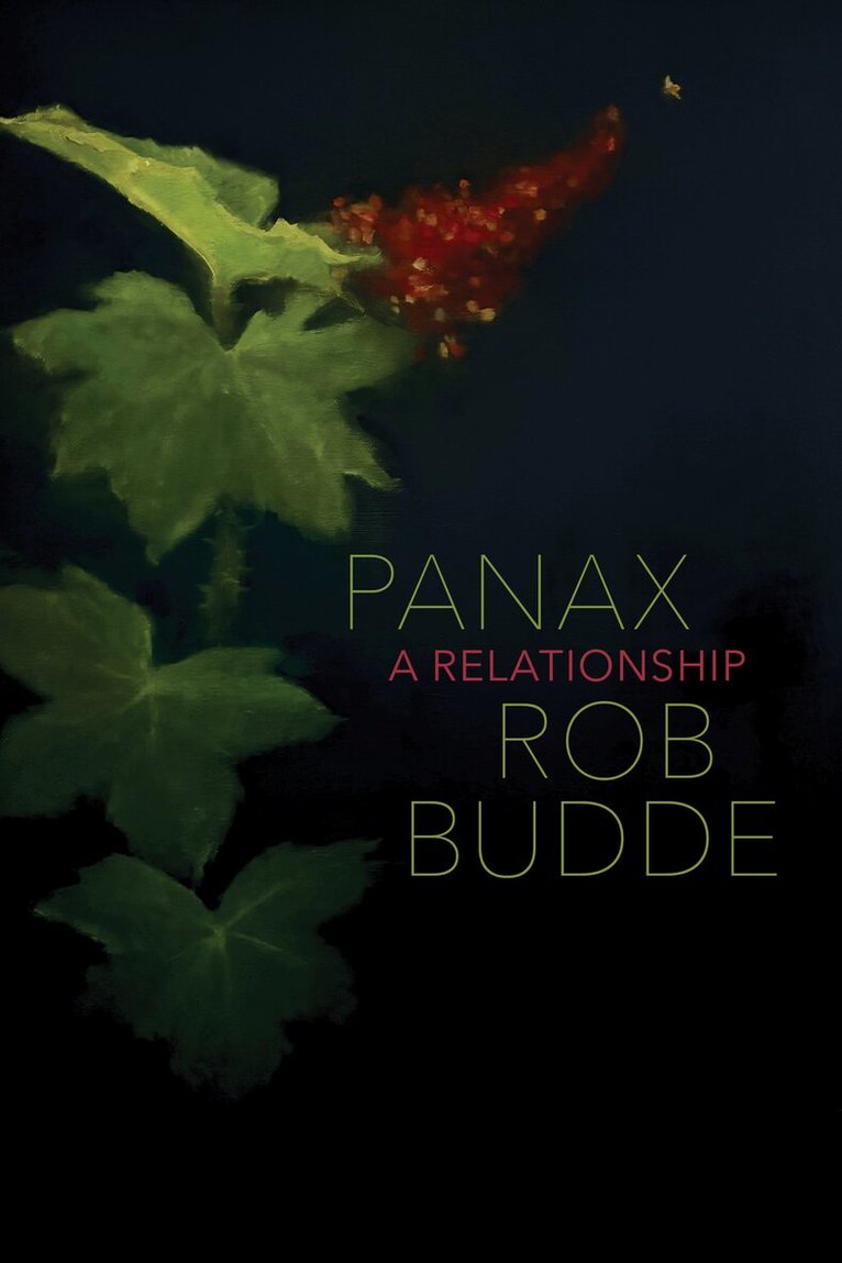 Rob Budde - Panax, Häftad