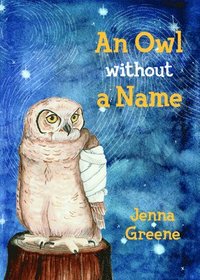 bokomslag Owl without a Name