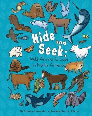 Hide and Seek 1