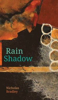 bokomslag Rain Shadow