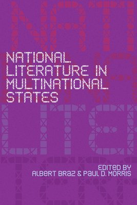 bokomslag National Literature in Multinational States