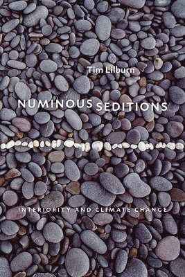 bokomslag Numinous Seditions