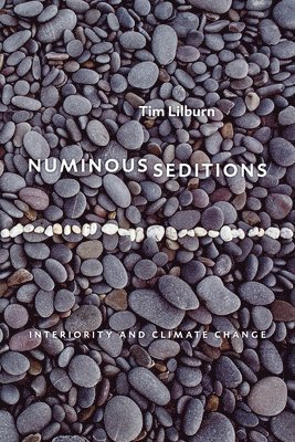 Numinous Seditions 1