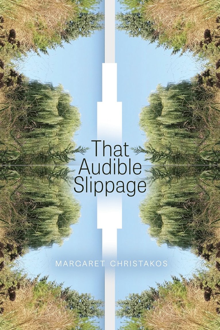 Margaret Christakos - That Audible Slippage, Häftad