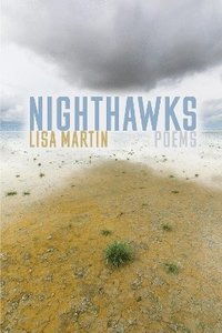 bokomslag Nighthawks