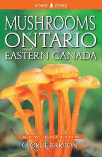 Mushrooms of Ontario and Eastern Canada