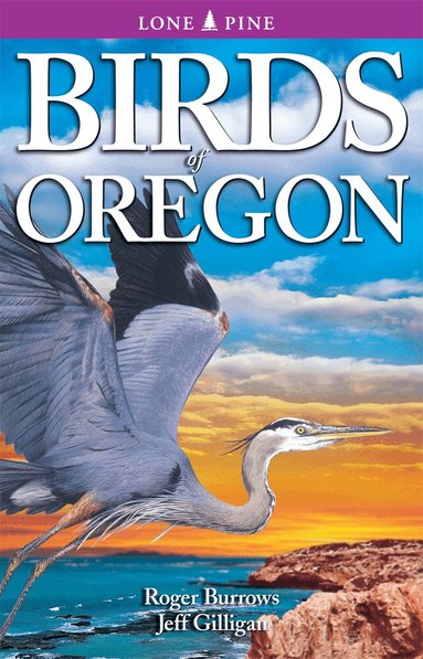 Roger Burrows, Jeff Gilligan - Birds of Oregon, Häftad