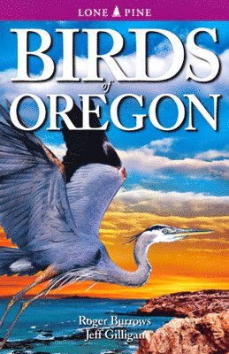 bokomslag Birds of Oregon