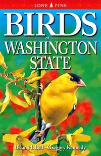 bokomslag Birds of Washington State