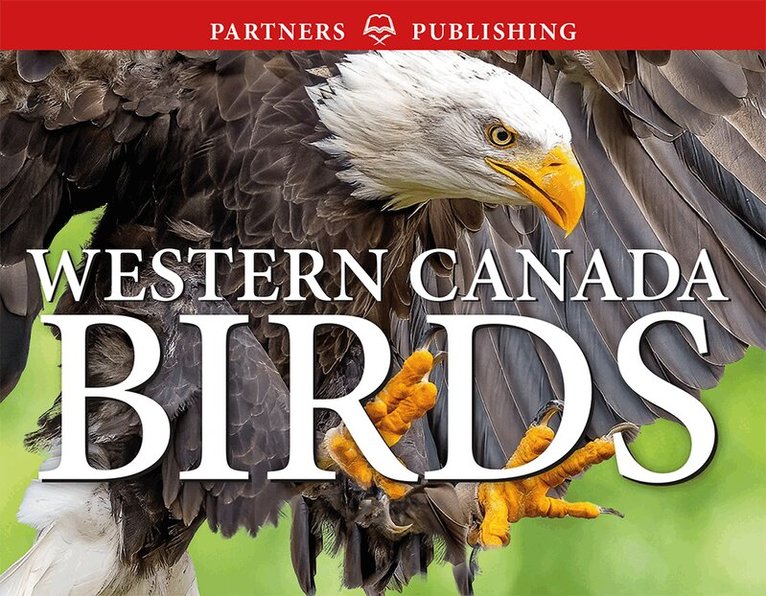 Krista Kagume, Gregory Kennedy, Andy Bezener - Western Canada Birds, Häftad. Tillgänglighet: Lägg i varukorg