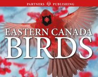 bokomslag Eastern Canada Birds: Pocket Guide
