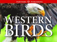 bokomslag Western Birds: Pocket Guide