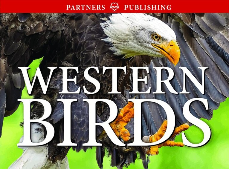 Krista Kagume, Gregory Kennedy, Andy Bezener - Western Birds, Häftad. Tillgänglighet: Lägg i varukorg